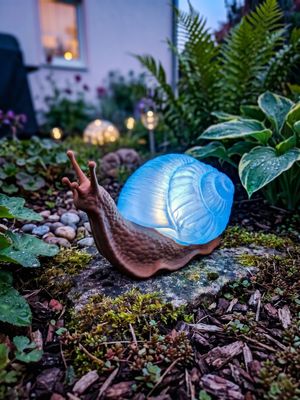 Schnecke