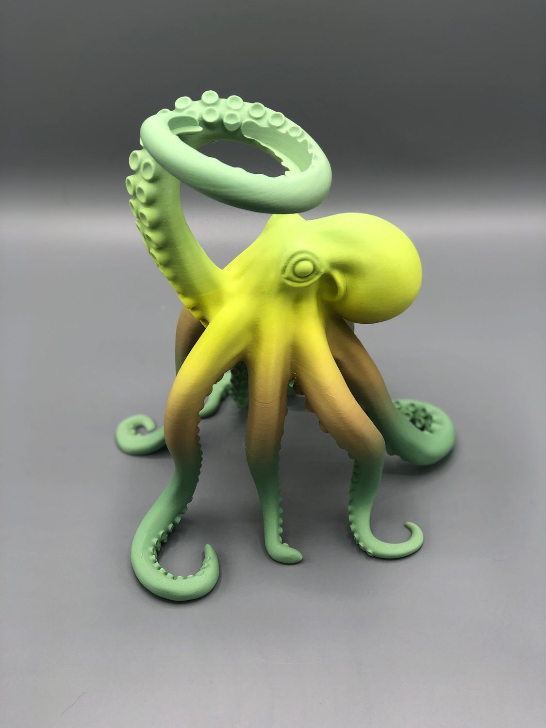 Octopus-Set-Matcha (inkl. Leuchtmittel)