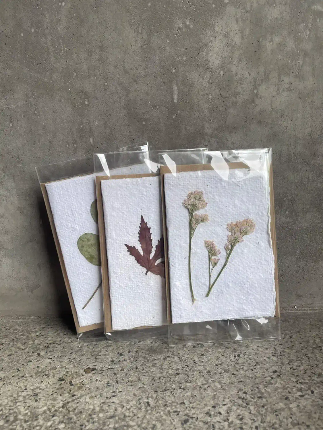 Three handmade cards on textured artisanal paper with pressed preserved flowers in clear sleeves