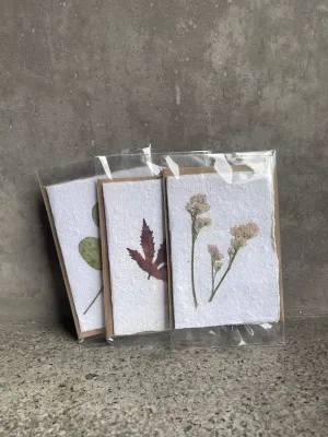 Three handmade cards on textured artisanal paper with pressed preserved flowers in clear sleeves