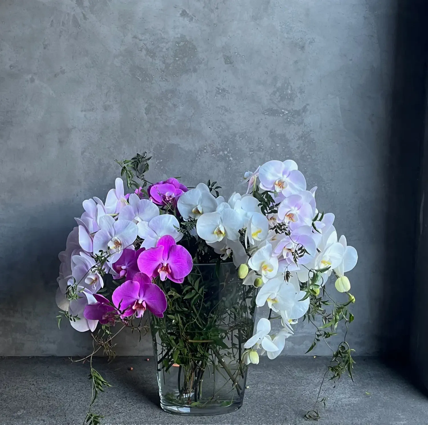 Beloved Valentine's arrangement with white and purple phalaenopsis orchids and jasmine in glass vase San Francisco