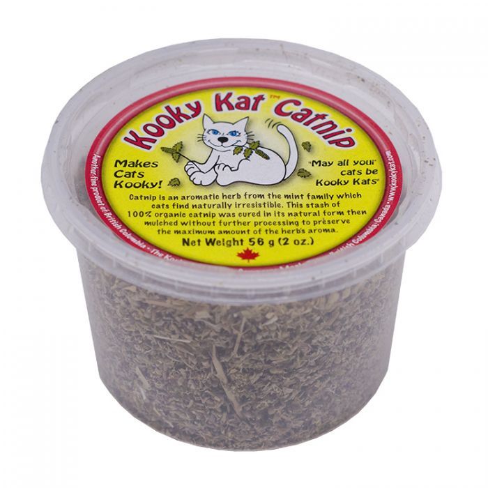 KOOKY KAT Catnip Tub K356 - 56 gm