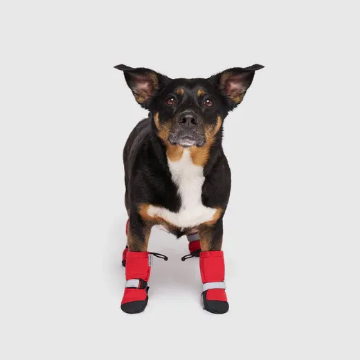 Canada Pooch Soft Shield Boots Red Reflective Size 3