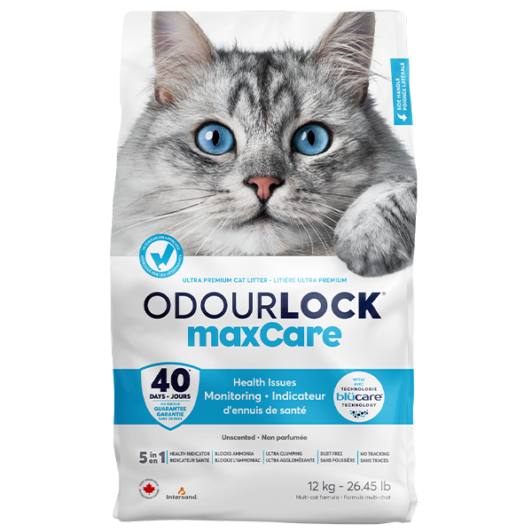 Intersand Odourlock Maxcare Litter - Unscented