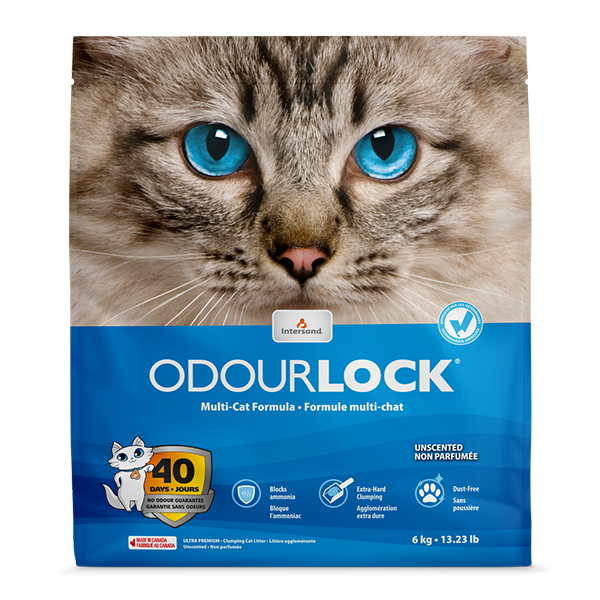 Intersand Odourlock Cat Litter-Unscented 6kg