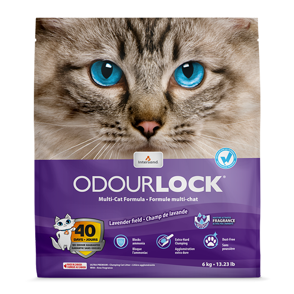 Intersand Odourlock MulticCat Litter- Lavender 6kg