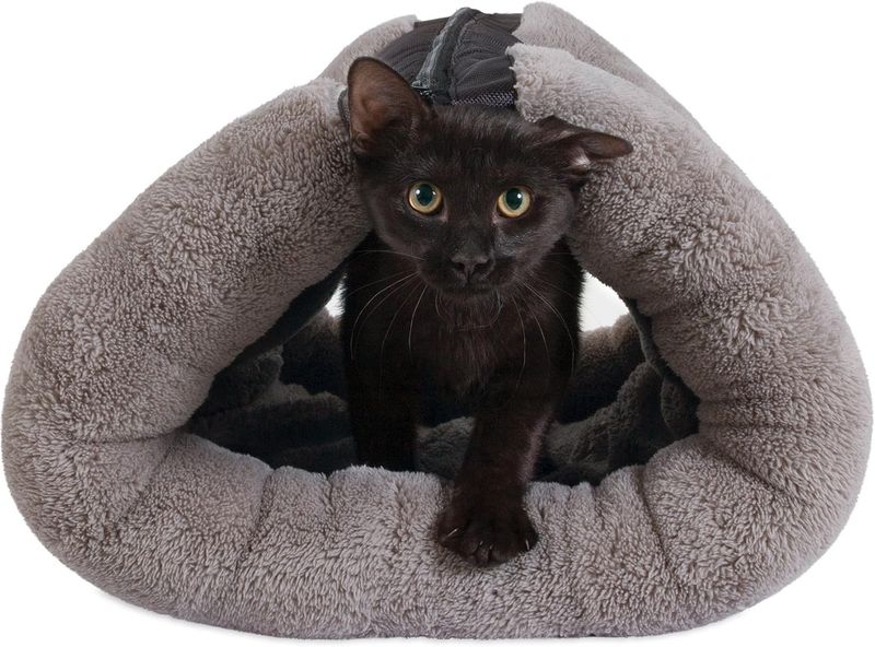 *JACKSON GALAXY Zip Mat Gray 36x22" | Cat