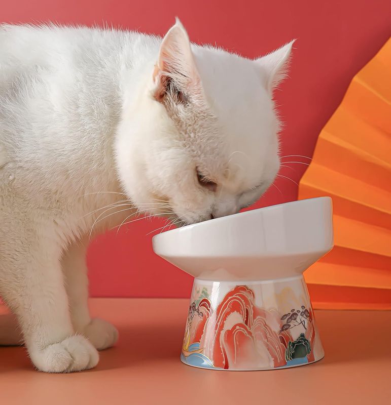 Pan’s Ceramic Cat Bowl Chinese Style