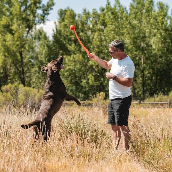 CHUCK IT! Sport Launcher Medium Ball 26"