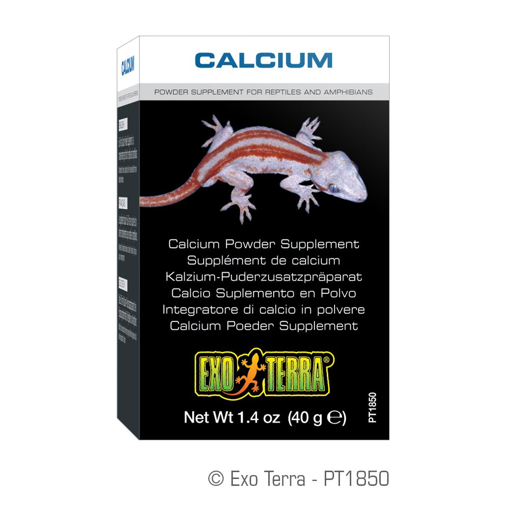 Exo Terra Calcium Powder Supplement - 1.4 oz / 40 g