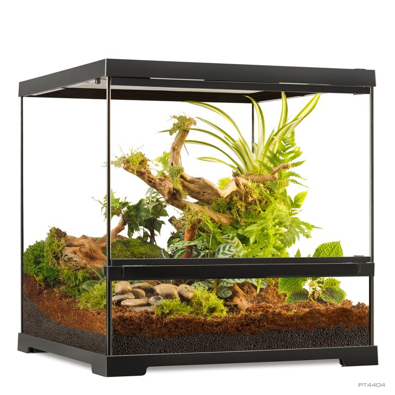 Exo Terra Wide Terrarium - Small - 45 x 45 x 45cm