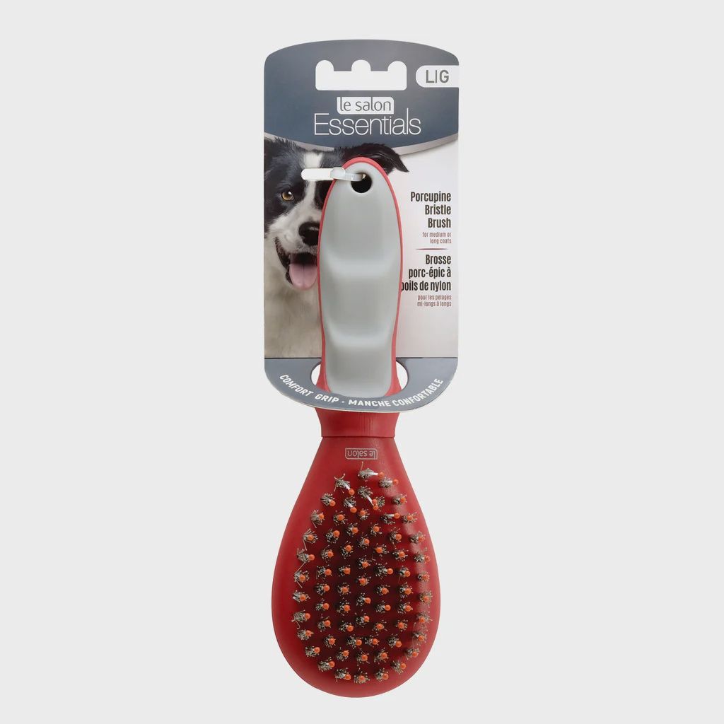 Le Salon Essentials Dog Porcupine Bristle Brush - Large