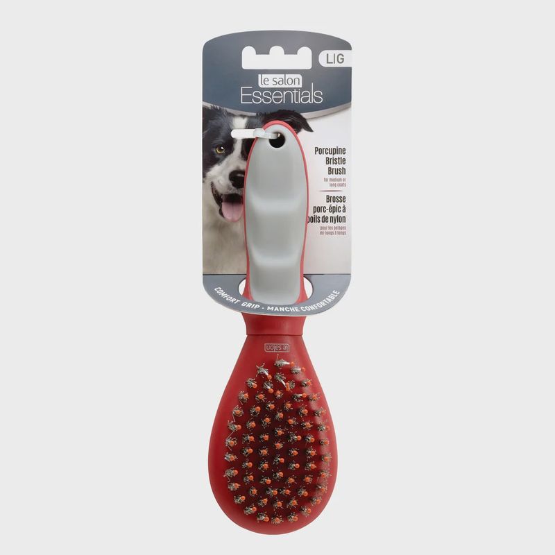 Le Salon Essentials Dog Porcupine Bristle Brush - Large