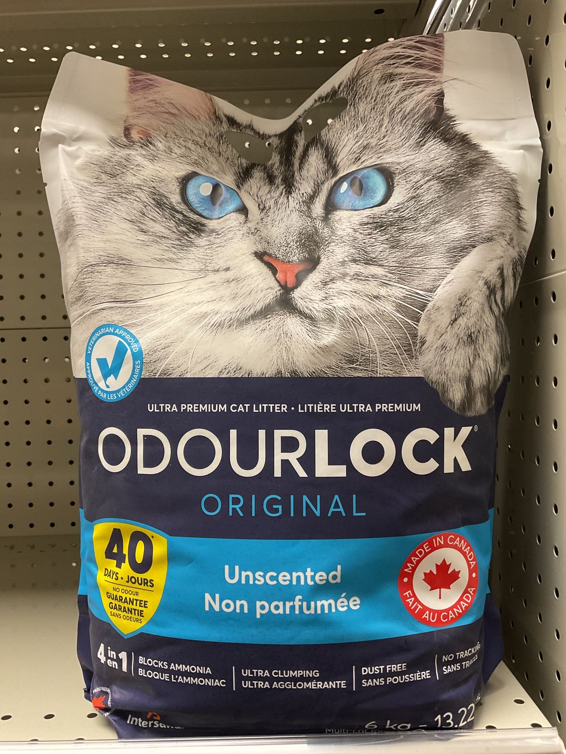 Intersand Odourlock Cat Litter-Unscented 6kg