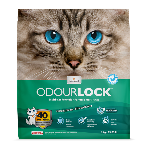 Intersand Odourlock MultiCat Litter - Calming Breeze 6kg