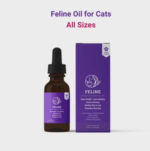 Reelax Feline Bottle (30 ml)