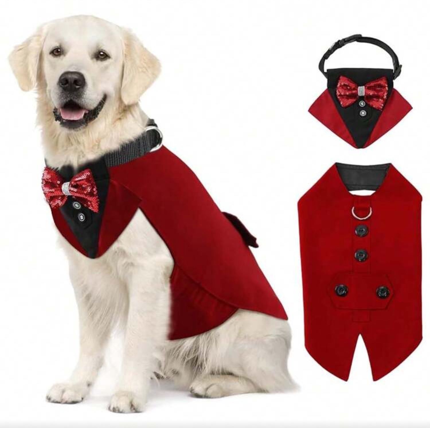 Birthday/Party Wear - Male, Colour: Red Suit - 2XL