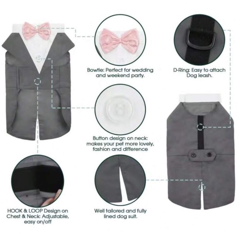 Birthday/Party Wear - Male