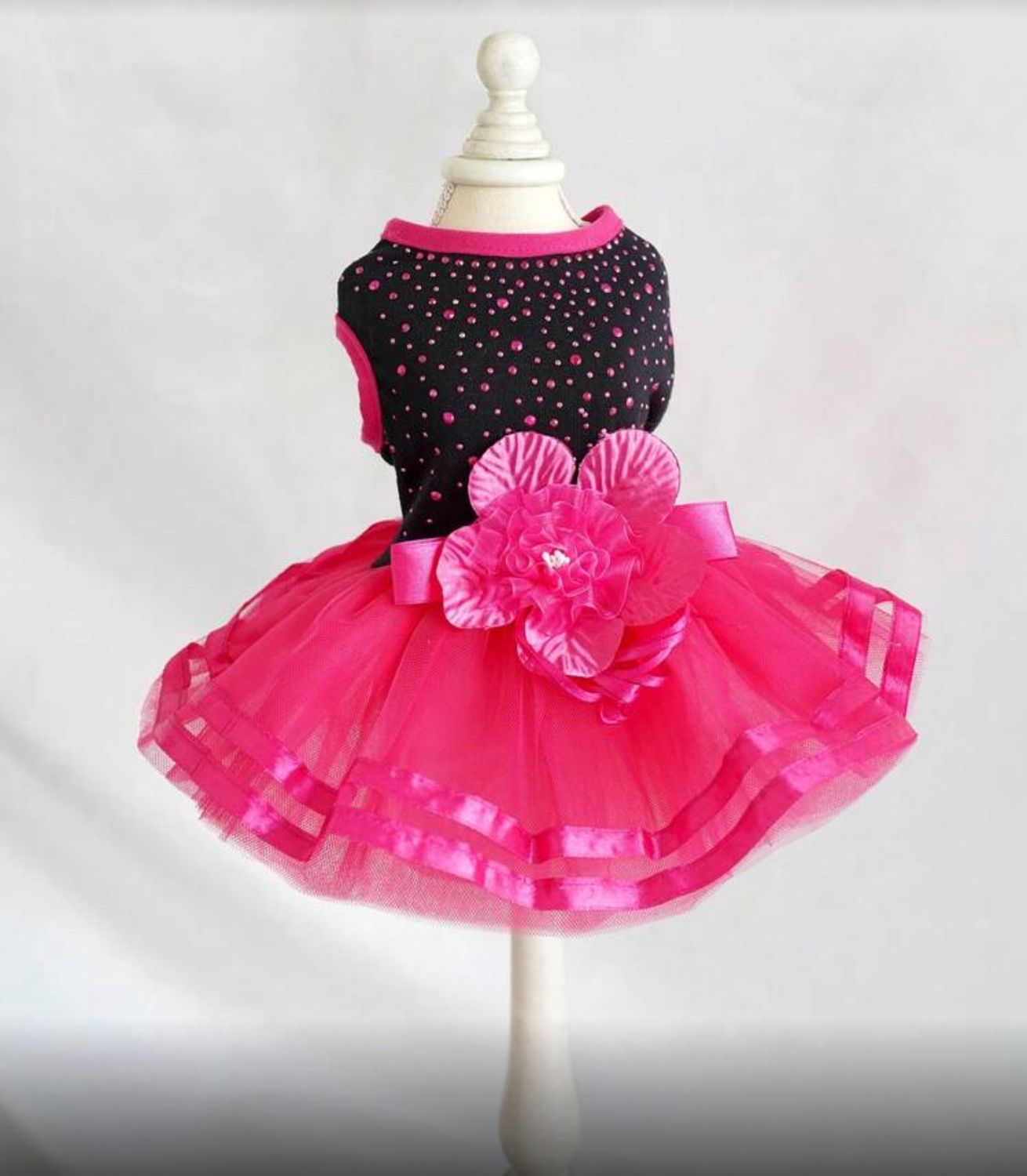 Birthday/Party Wear - Female, Style: Pink/Black- XL