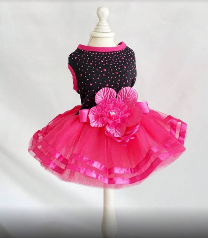 Birthday/Party Wear - Female