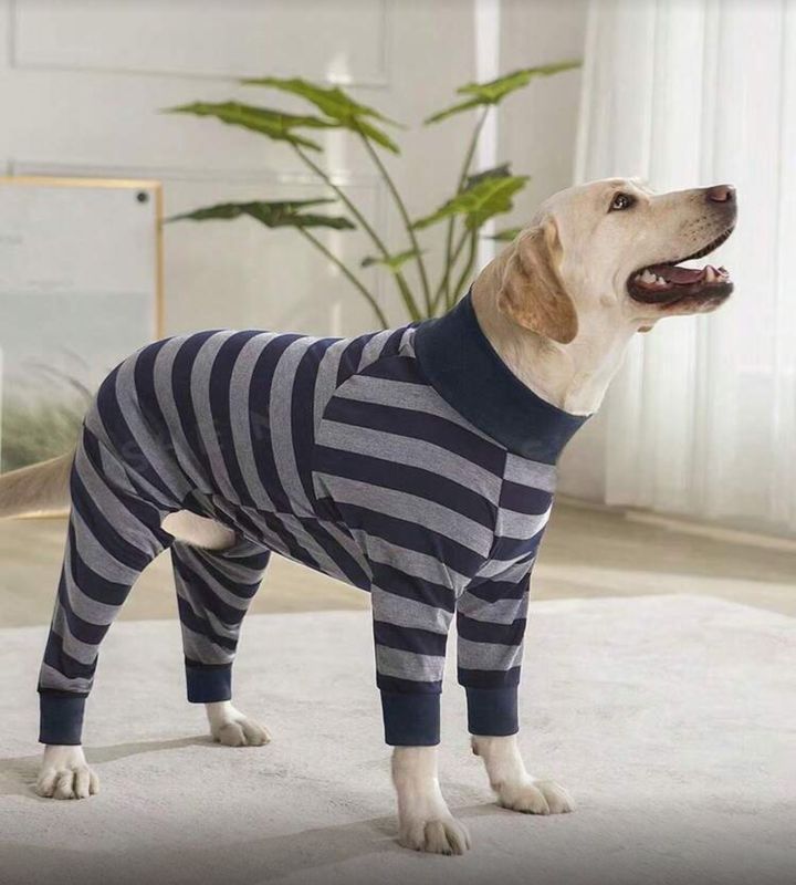 Four leg dog clothes for prevent hair loss Tshirts