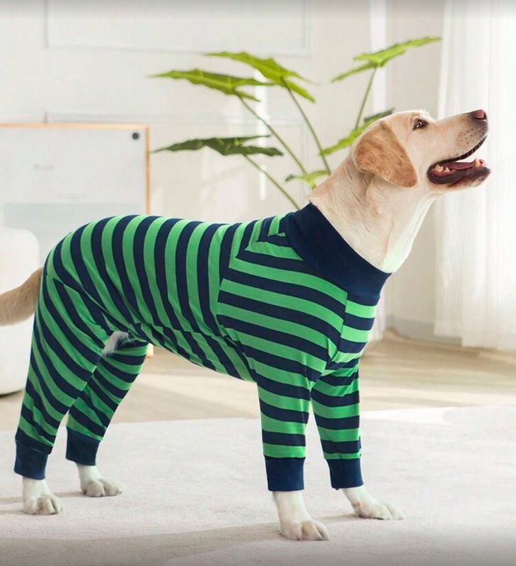 Four leg dog clothes for prevent hair loss Tshirts