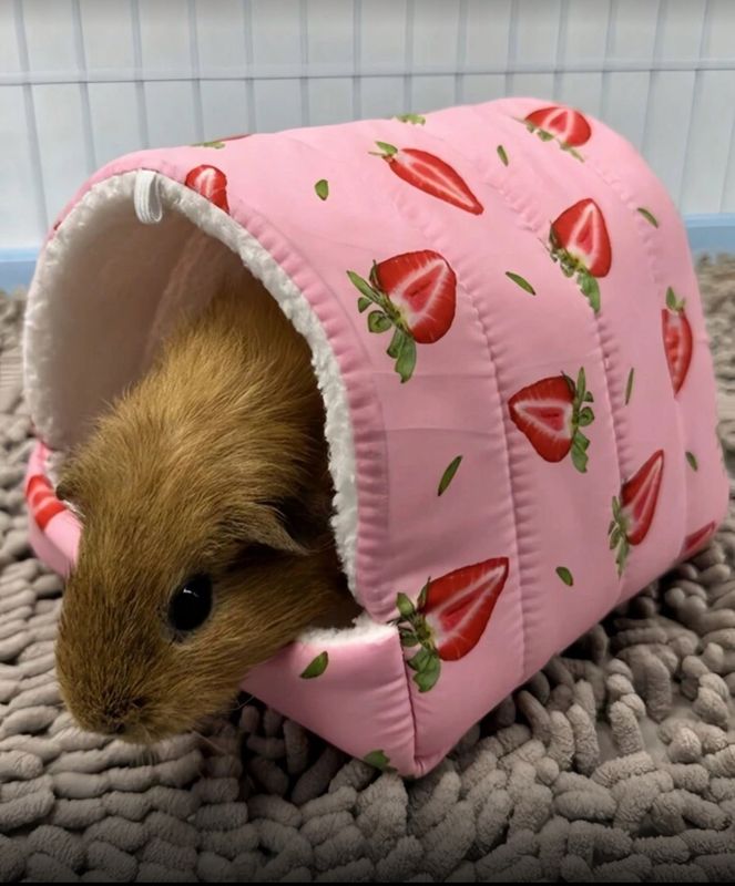 Small Animals Pink Padded cozy sleeping Bed
