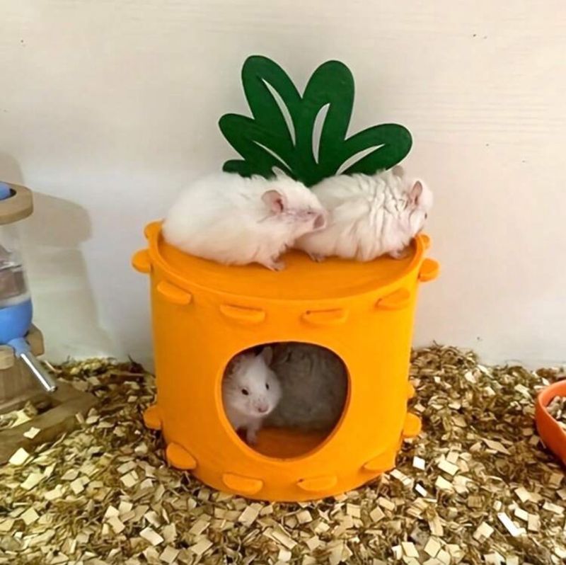Carrot Shaped Hideaway House for Small Animals-Medium Size