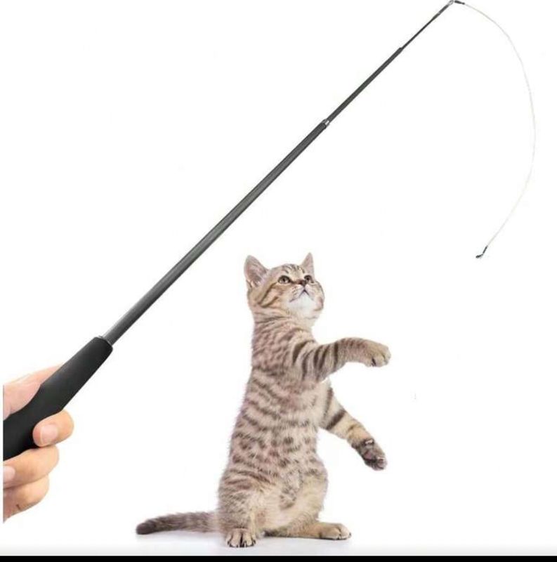 Retractable Cat Teaser Adjustable Wand upto 70 inches