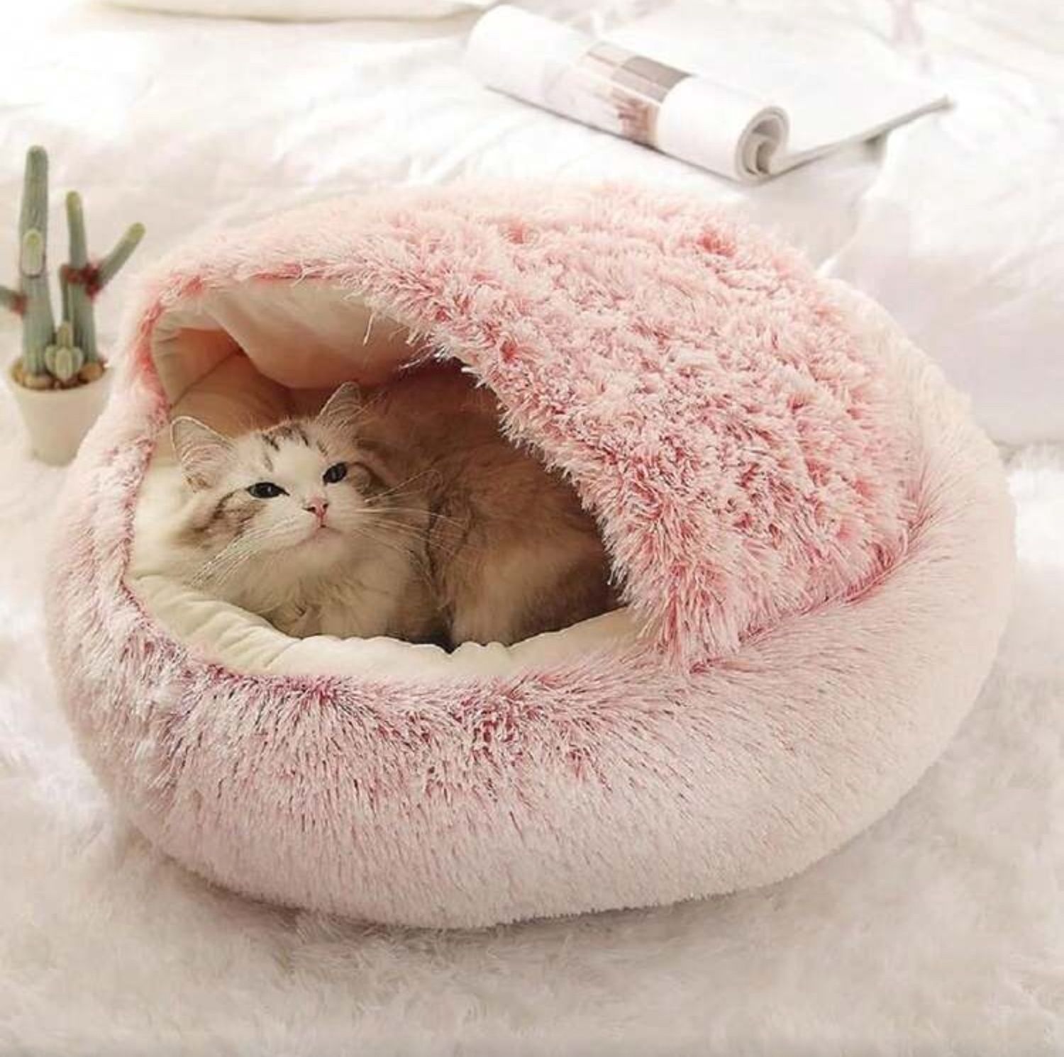 Seashell Semi-Enclosed Fluffy Bed in Pink-White