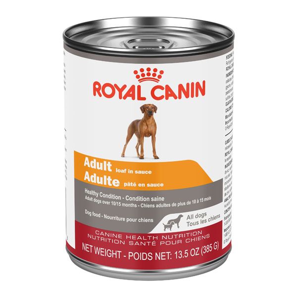 Royal Canin CHN Adult All Dogs 385 gm