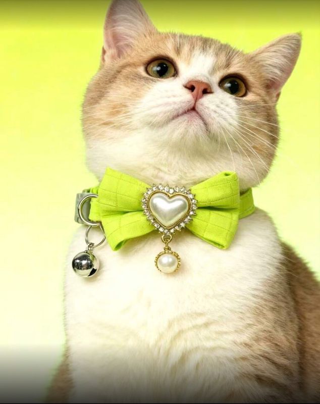 Adjustable Cat Fancy Heart Collar