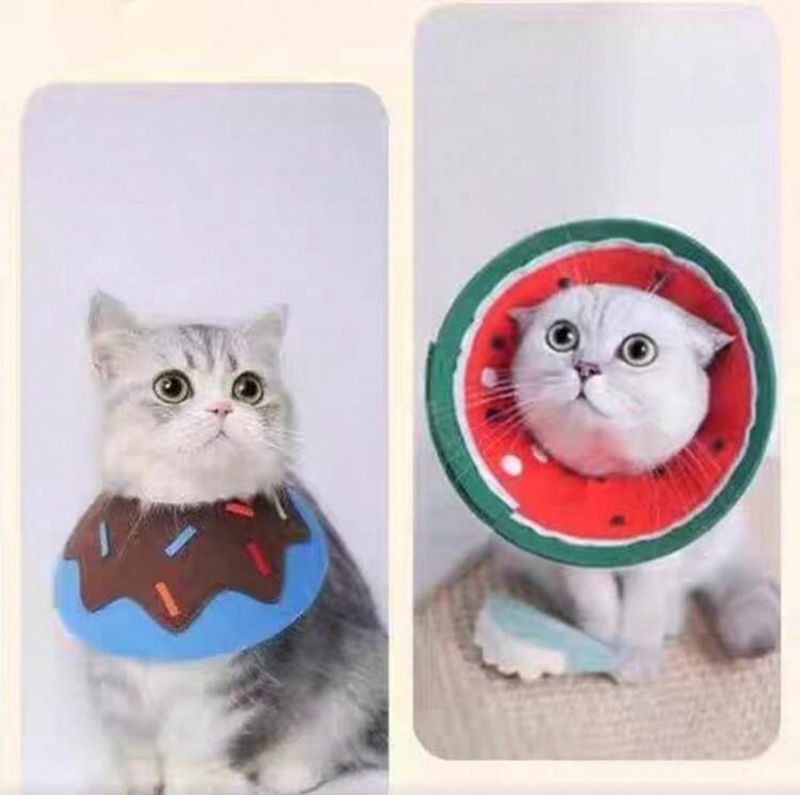 Anti-Bite Neck Collar and Protective Cone -2 in 1