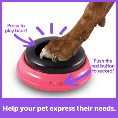 Hunger For Words Talking Pet Next Words - 3 Buttons Set