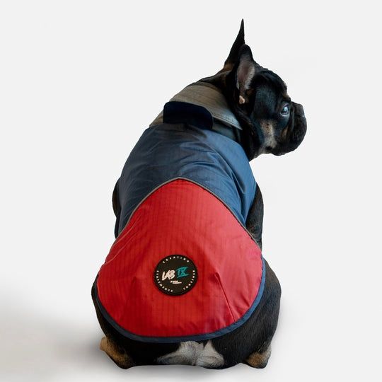 Arrow Navy Windbreaker Lightweight Dog Jacket