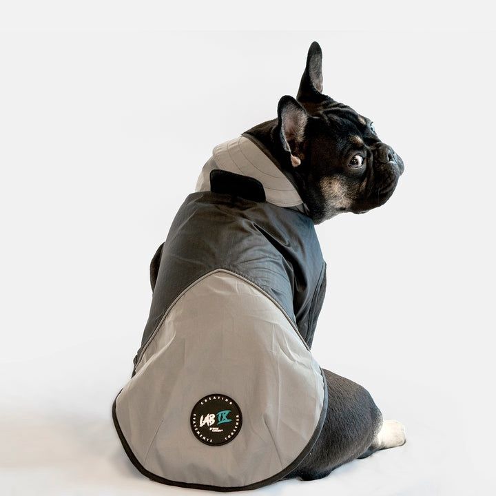 Arrow Reflective Windbreaker Lightweight Dog Jacket