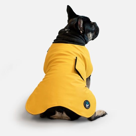 Wintertide Dog Coat - Yellow