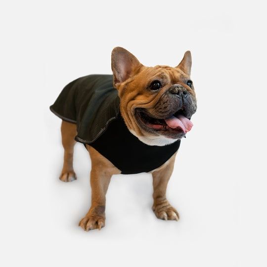 Luminous Reflective Dog Jacket - Grey