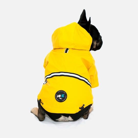Hurricane Rain Dog Jacket - Yellow