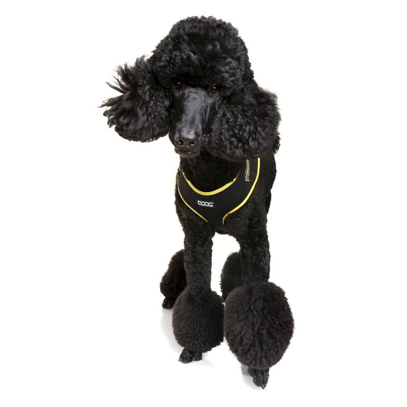 Doog Neon Dog Harness