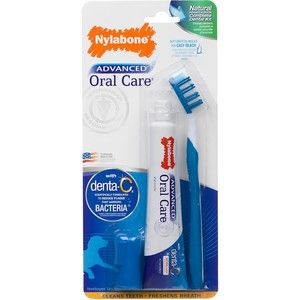 Nylabone Advanced Oral Care Natural Dog Dental Kit