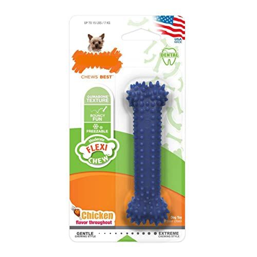 Nylabone Dental Chew Regular Bone