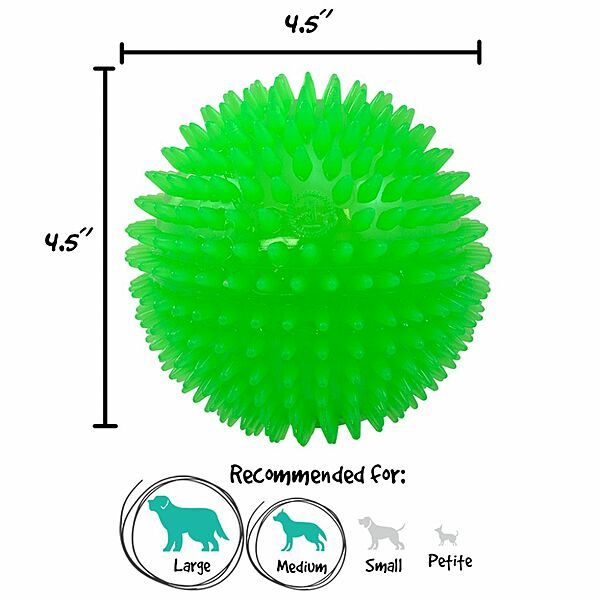 Gnawsome Ball 4.5" | Squeak &amp; Light