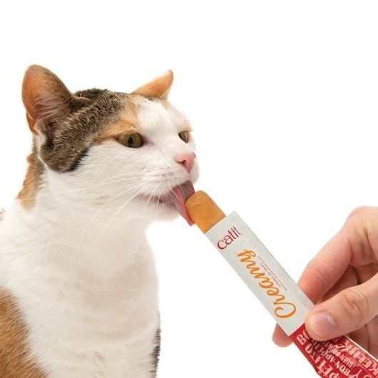 Catit Creamy Lickable Cat Treat