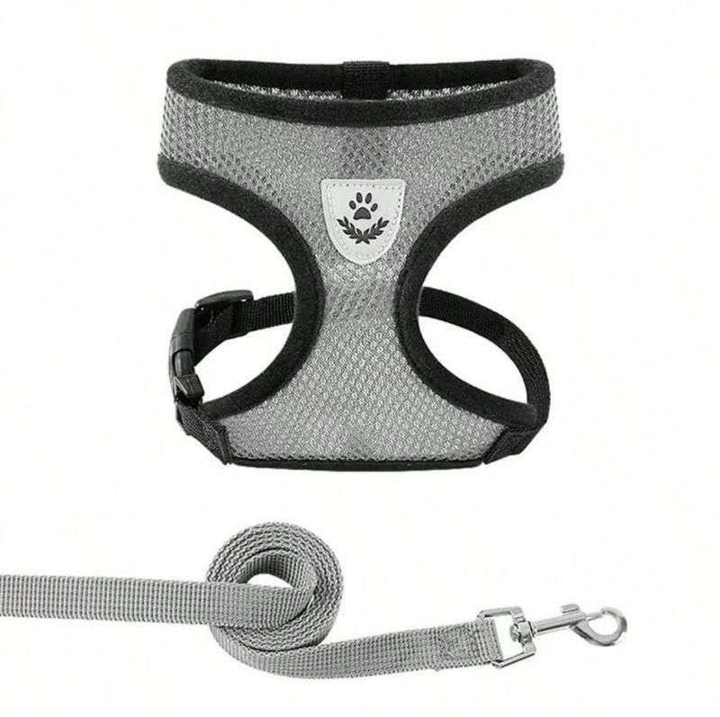 Pet Chest Strap Harness &amp; Lease Set - Small Breeds Dogs &amp; Cats