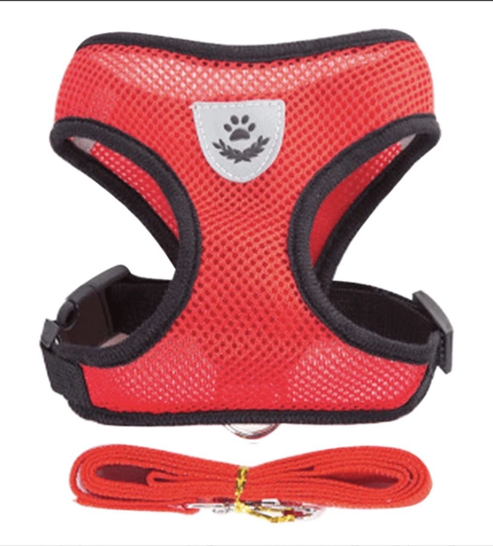 Pet Chest Strap Harness &amp; Lease Set - Small Breeds Dogs &amp; Cats, Size: Small-Red