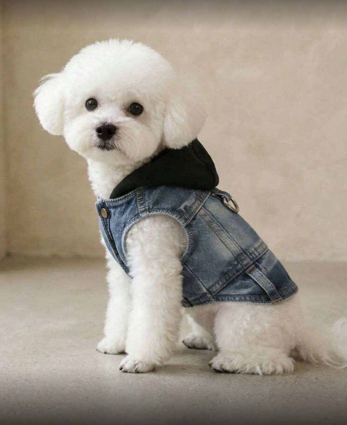 Hooded Harness Jeans Jacket Vest Style- XL