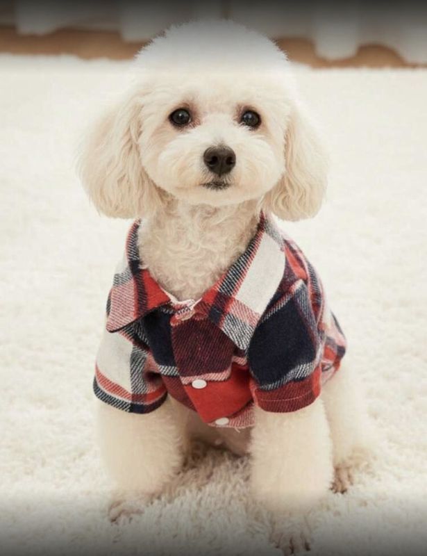 Checked Mixed Coloured Pet Shirts