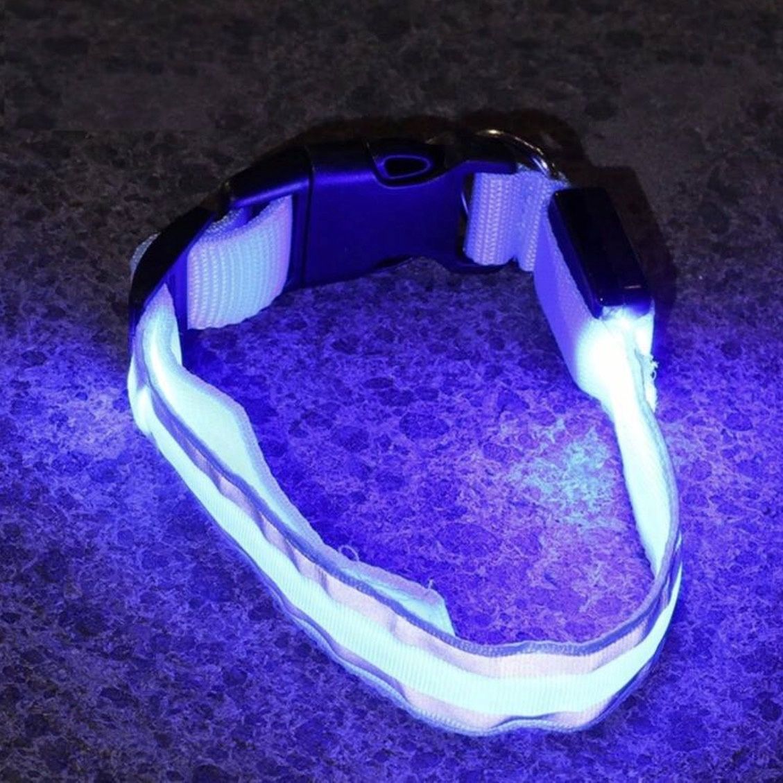 Bright LED Dog Collar with Battery Operated in Dark Blue like seatbelt style