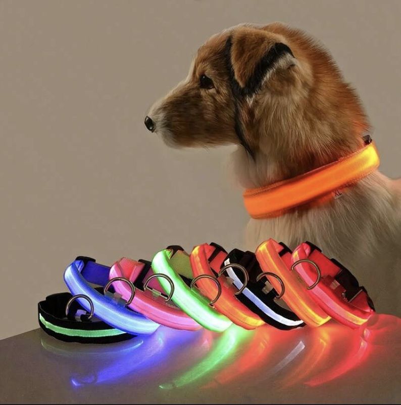 Bright LED Dog Collar with Battery Operated like seatbelt style for Night Time